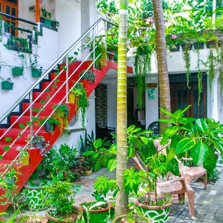 Sigiri Tarushan Home Stay Sigiriya Luaran gambar