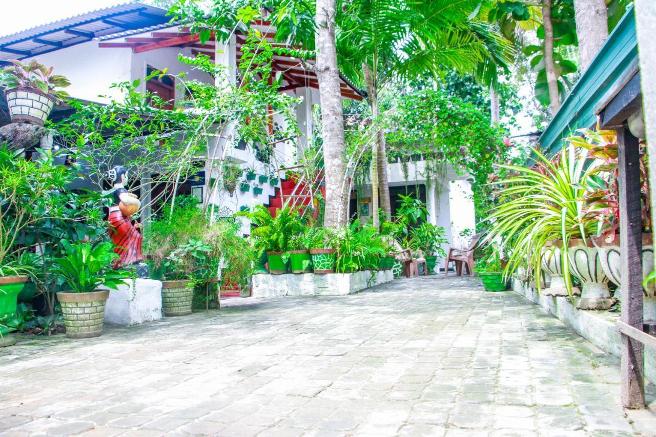 Sigiri Tarushan Home Stay Sigiriya Luaran gambar